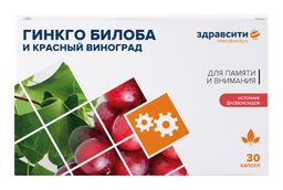 Здравсити Комплекс экстрактов листьев красного винограда и гинкго билоба